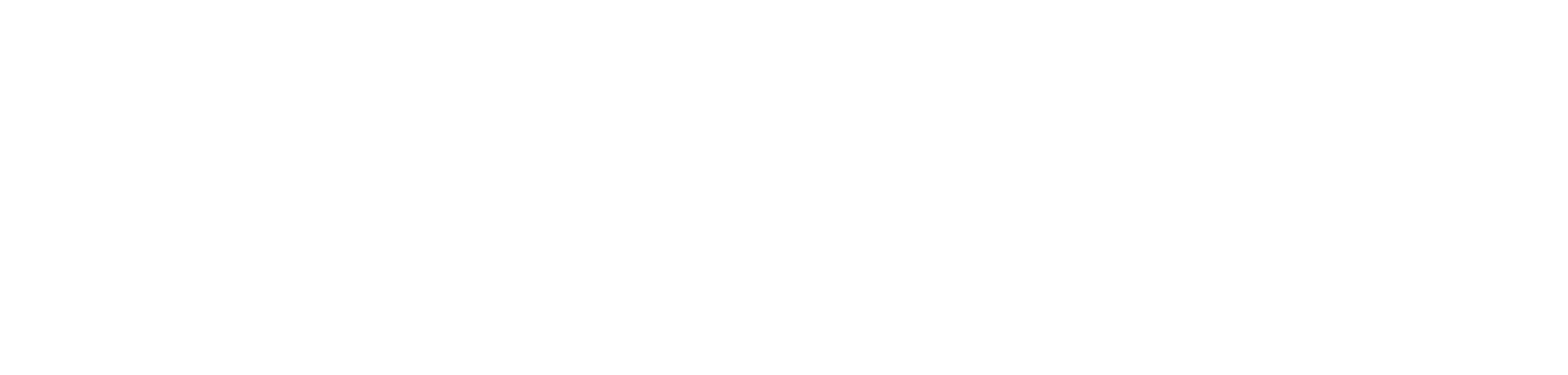 BidMax.com